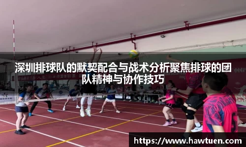 深圳排球队的默契配合与战术分析聚焦排球的团队精神与协作技巧